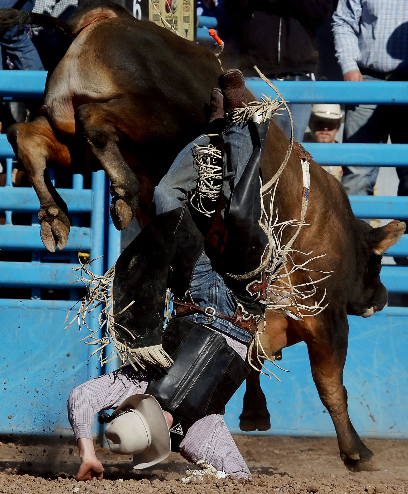 2018 La Fiesta de los Vaqueros Tucson Rodeo